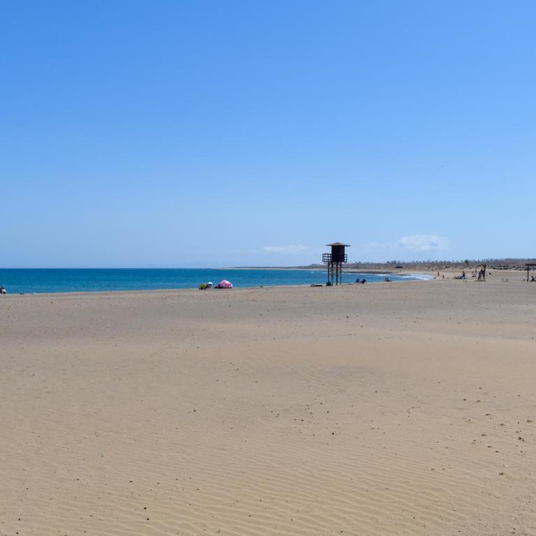Playa de Guacimeta - Salitre - Apartamento - 13