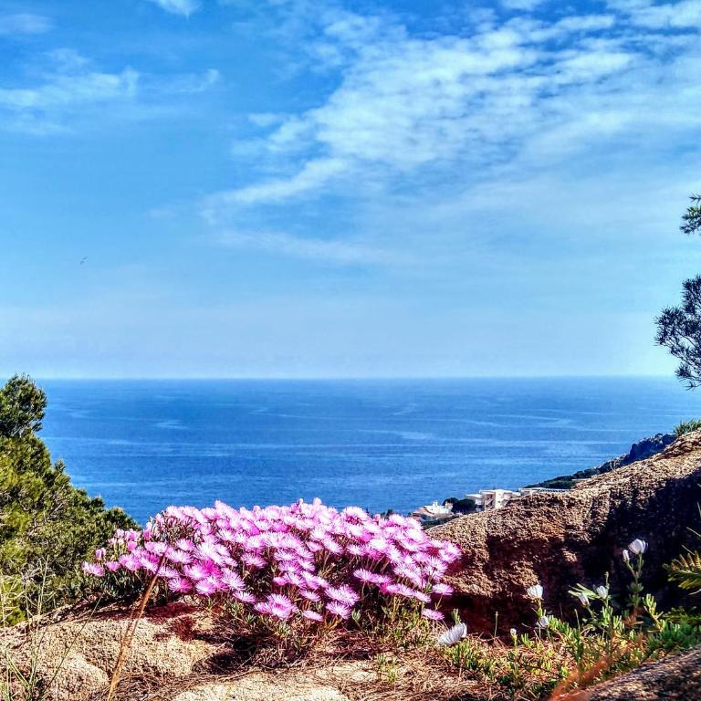 Private Villa in Sant Feliu de Guixols Costa Brava Pool Overlooking Bay - Villa de 3 dormitorios - 41