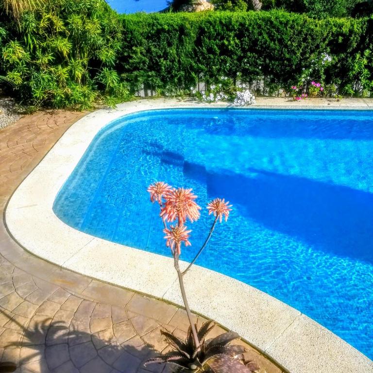 Private Villa in Sant Feliu de Guixols Costa Brava Pool Overlooking Bay - Villa de 3 dormitorios - 52