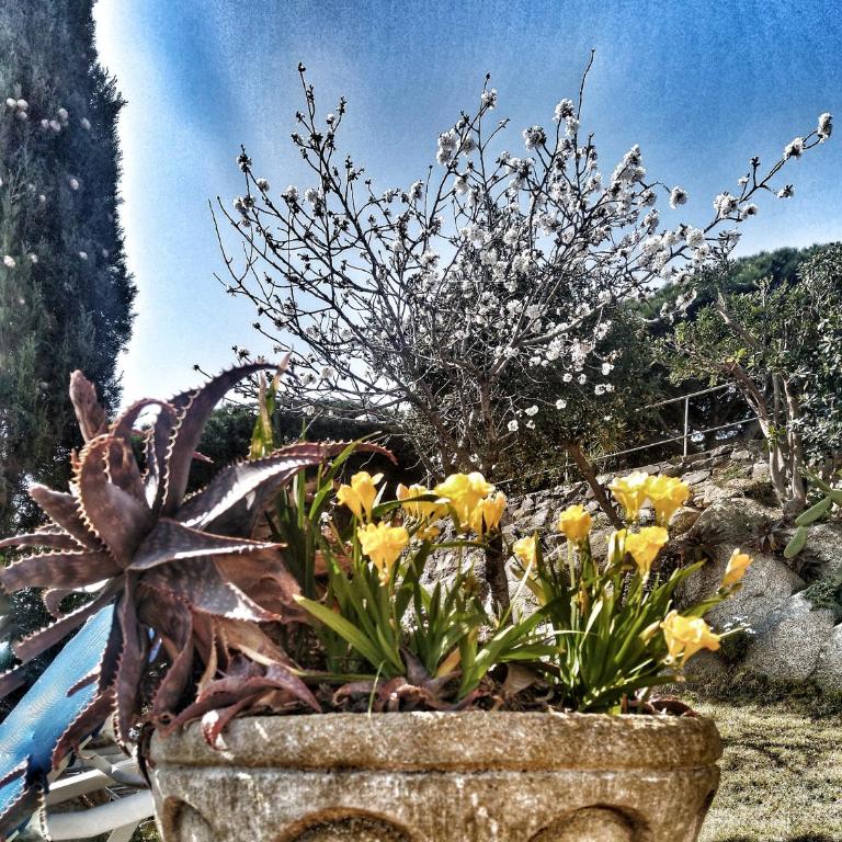 Private Villa in Sant Feliu de Guixols Costa Brava Pool Overlooking Bay - Villa de 3 dormitorios - 57