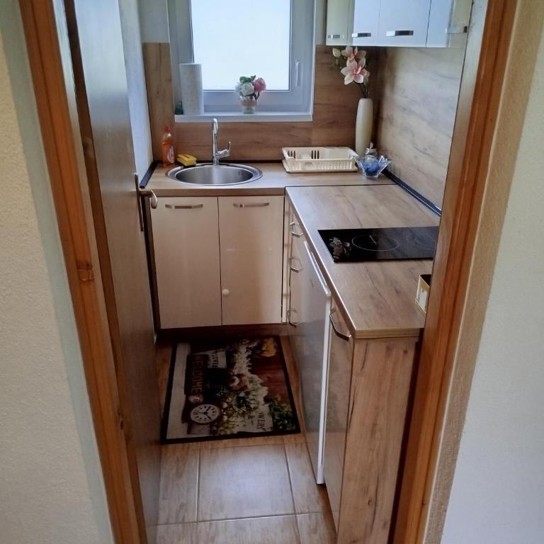 Apartmani LIDER Visoko - Standard Apartman sa Dve Spavaće Sobe - 3