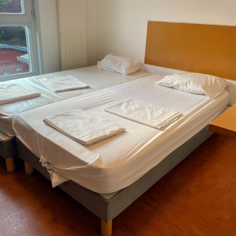 Auberge de Jeunesse HI Grenoble - Chambre Lits Jumeaux avec Salle de Bains - 3