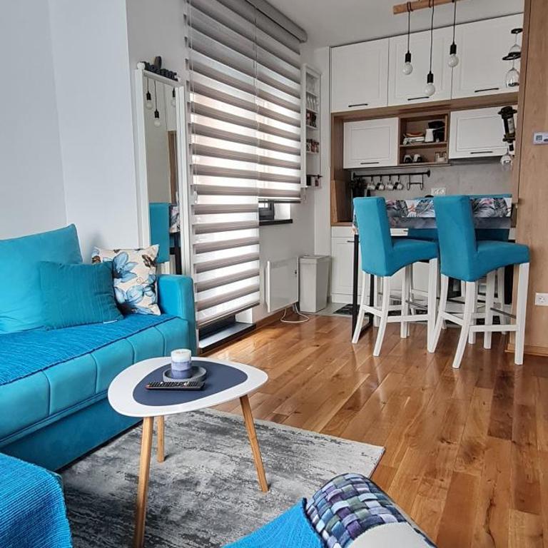 PLAVA ZVEZDA ZLATIBOR apartman u kompleksu Titova vila Zlatibor - One-Bedroom Apartment - 13