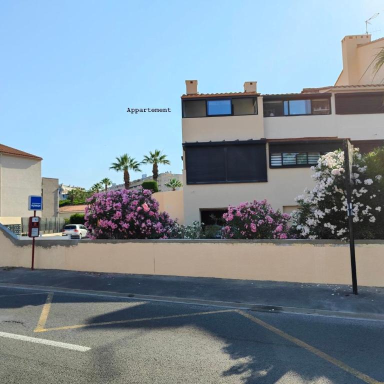 Appartement cosy proche port, plages et montagnes. - Appartement 1 Chambre - 15