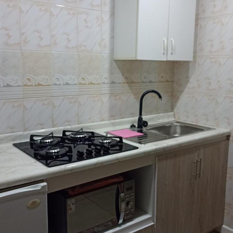 Cabaña el fiordo - Apartamento de 1 dormitorio - 1