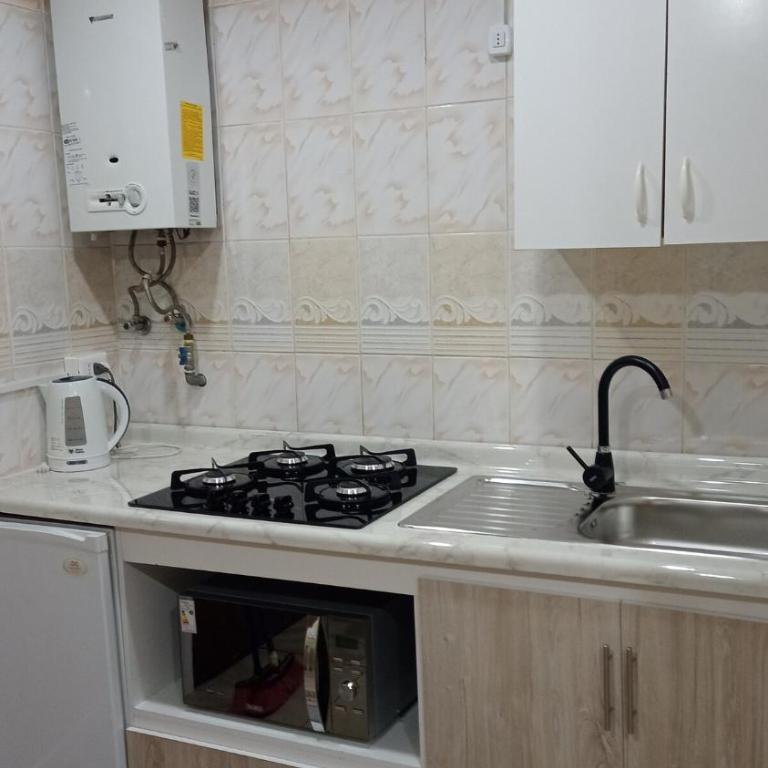Cabaña el fiordo - Apartamento de 1 dormitorio - 3