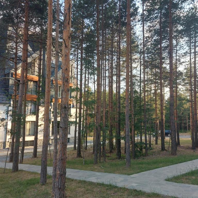 Apartman PANORAMA Green Hills Divčibare - Apartman sa 1 Spavaćom Sobom - 28