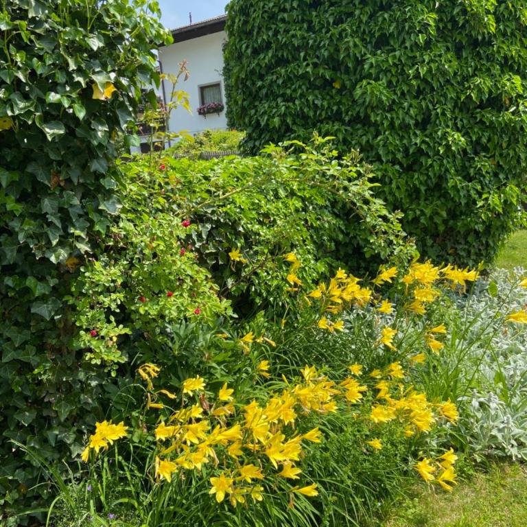Ferienhaus Greti Ehrwald - Chalet - 22