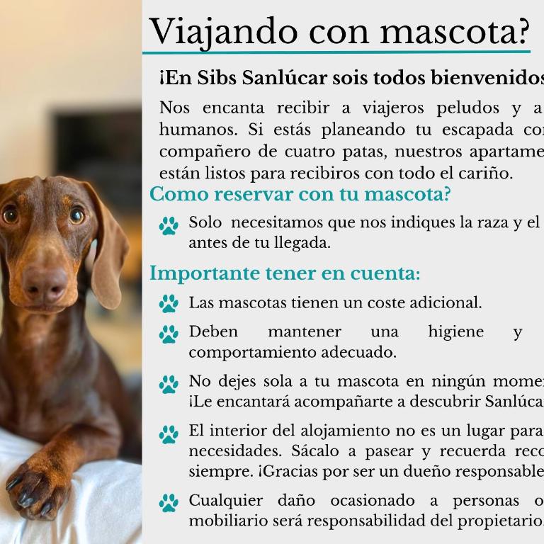 SibsSanlucar Casa Manuela - Céntrico - Vistas Coto Doñana - Apartamento - 48
