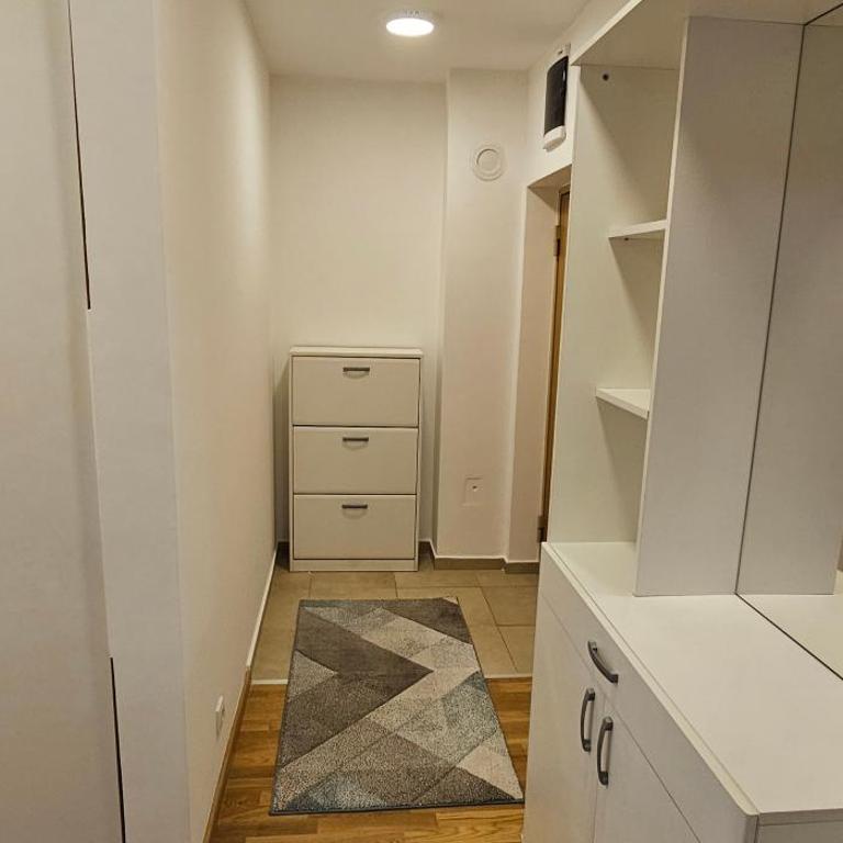 Apartmani Cara Lazara - Apartman sa 1 Spavaćom Sobom - 5