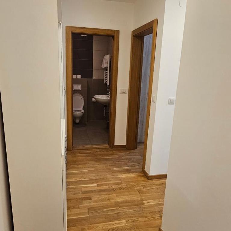 Apartmani Cara Lazara - Apartman sa 1 Spavaćom Sobom - 2