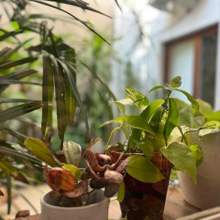 Petit Oasis Urbano - Apartamento de 1 dormitorio - 7