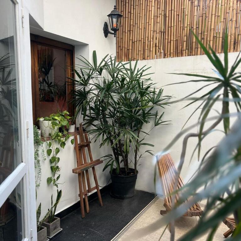 Petit Oasis Urbano - Apartamento de 1 dormitorio - 14