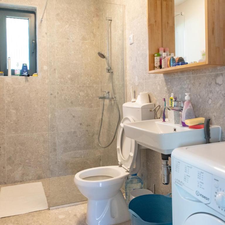 Mountain Peace Apartment 2 - Apartman sa 1 Spavaćom Sobom - 9