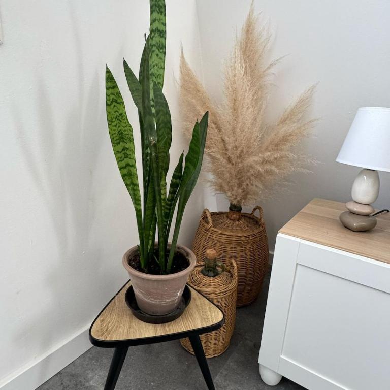 Appartement - Central - Proche gare - Parking - Confort - Moderne - Appartamento con 1 Camera da Letto - 15