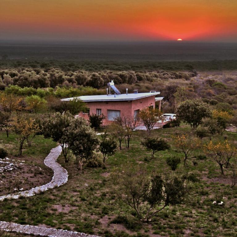Terrazas del Olivar - Habitación con cama grande y bañera de hidromasaje - 1