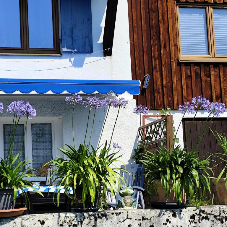 Bad Hindelang - Apartment mit 2 Schlafzimmern mit Balkon und Terrasse - 35