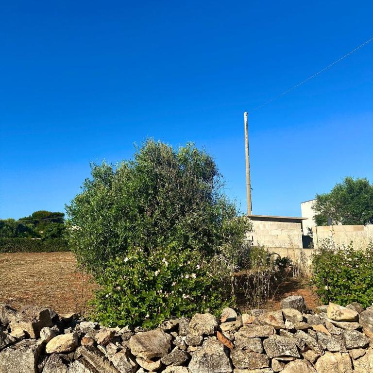 Villetta Frisulli - Casa con 3 Camere da Letto - 36