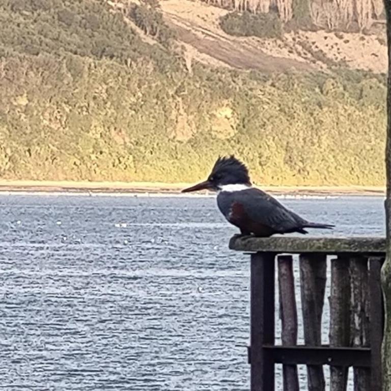 Palafito Melí Naturaleza y Tradición - Apartamento de 2 dormitorios - 14