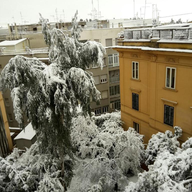 Apartment Rome Parioli near Villa Borghese - Two-Bedroom Apartment - 6