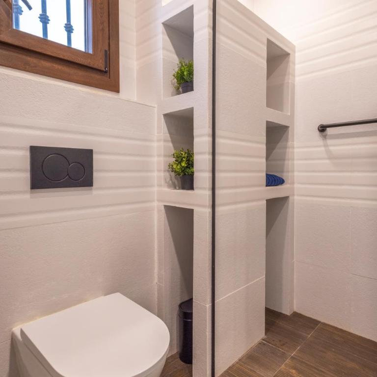 Cadizz - Ático del Búho Surenyo - Terraza 100m2 privada - Apartamento de 3 dormitorios - 77