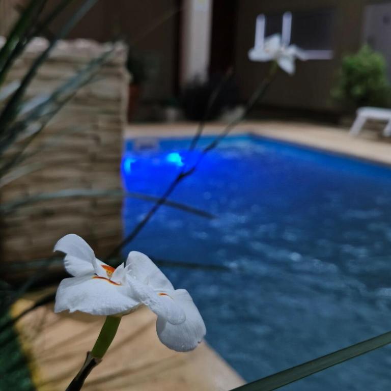 Lodge Ambay - Apartamento de 2 dormitorios - 3