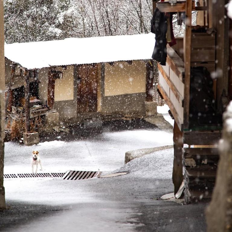 AL Cosy in Vars Ski & Nature - Appartement 1 Chambre - 14
