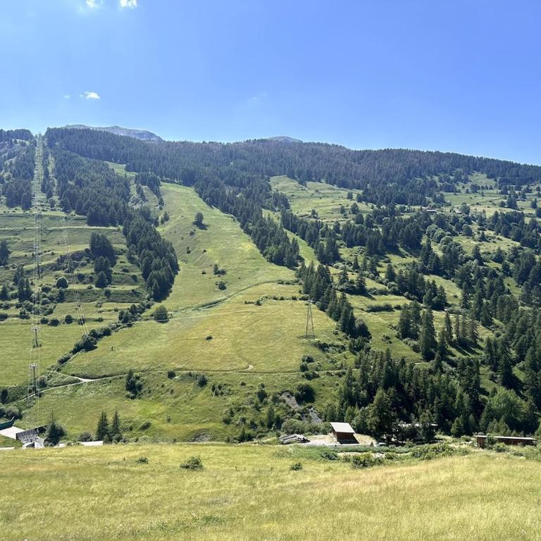 AL Cosy in Vars Ski & Nature - Appartement 1 Chambre - 20