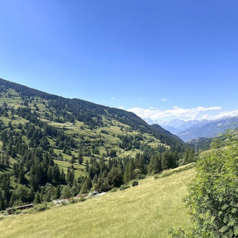AL Cosy in Vars Ski & Nature - Appartement 1 Chambre - 40