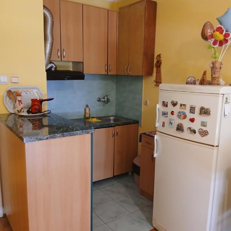 DEJANA NS - Stan na dan - FREE Street Parking - Apartman sa 1 Spavaćom Sobom - 3