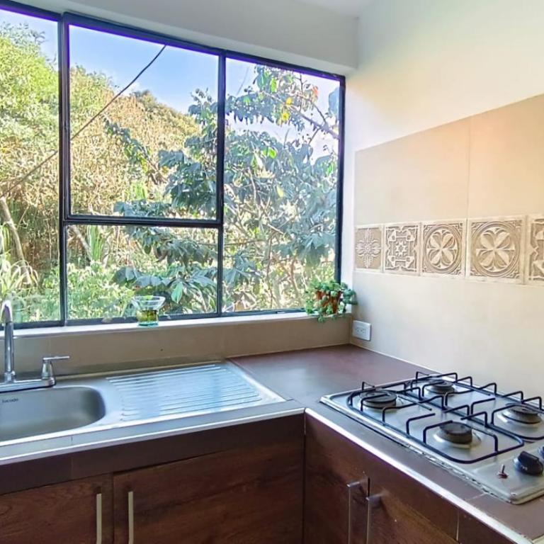 Apartamento Central Campestre - Apartamento de 1 dormitorio - 20
