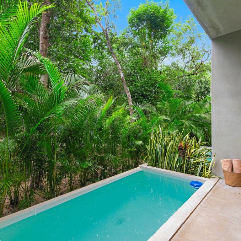 Seremonia Origen - Tulum Studio with Plunge Pool - Apartment - 27