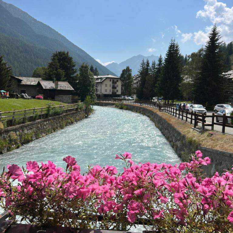 Petite Maison Du Coeur Champoluc - Spa, Gym e Aree relax - Appartement Supérieur avec Balcon - 45