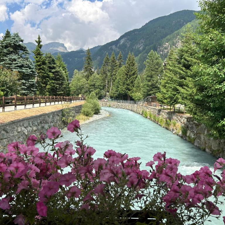 Petite Maison Du Coeur Champoluc - Spa, Gym e Aree relax - Appartement Supérieur avec Balcon - 49