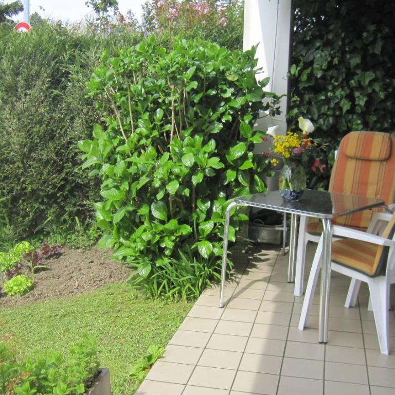 Apartamento con Jardín - Appartement - Vue sur Jardin - 5