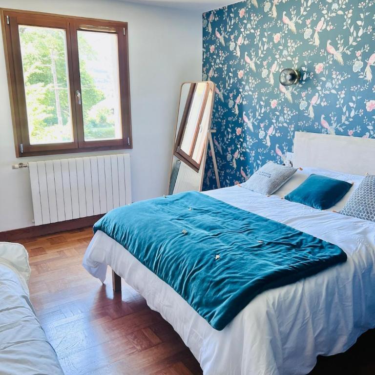 House 11 guests 2 cozy apartments near ski slopes - Maison 5 Chambres - 22