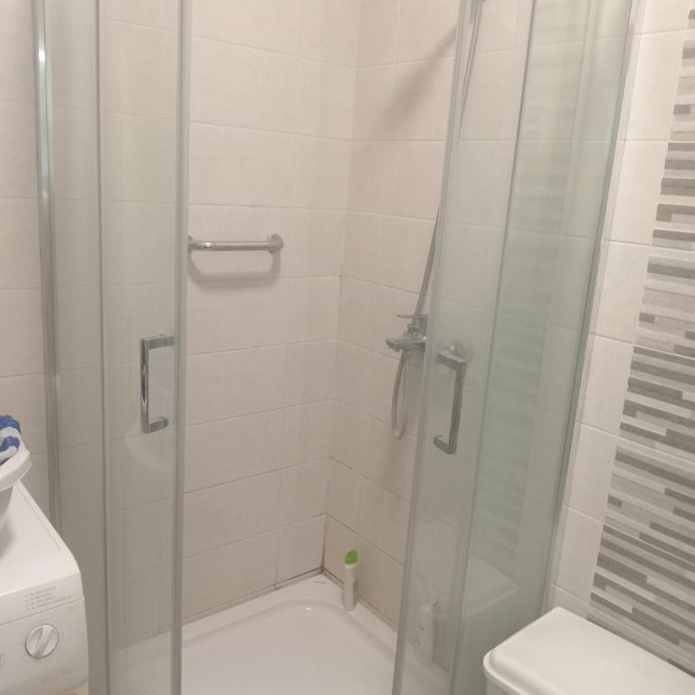 Mita place - Apartman sa 1 Spavaćom Sobom - 6