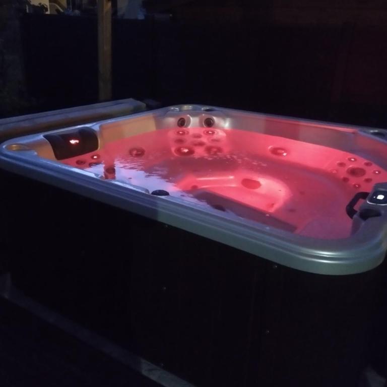 La sapinette avec jaccuzzi - Appartement 1 Chambre - 3