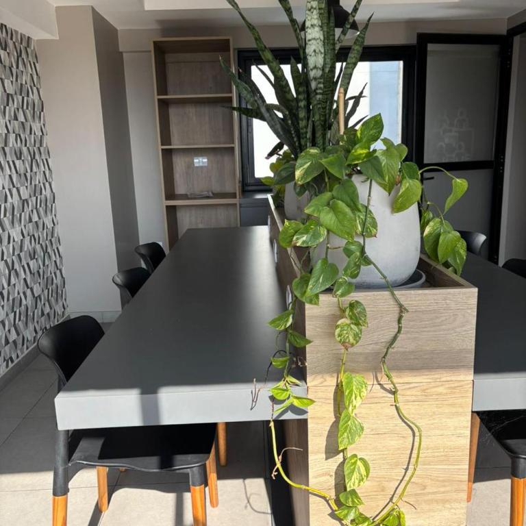 Luminoso y confortable Studio ZOE - One-Bedroom Apartment - 28