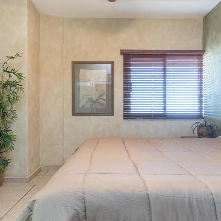 Sonoran Sun - Casa - 31
