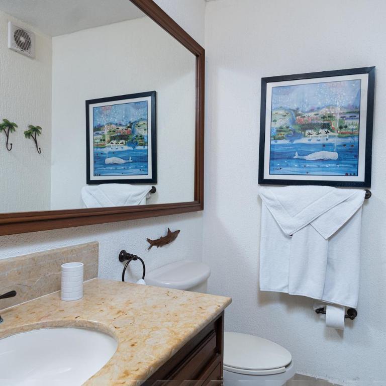 Sonoran Sun - Vacation Home - 24