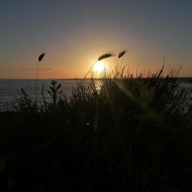Dimora le Spunnulate - Monolocale - 29
