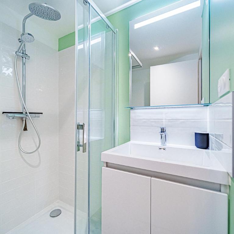 Joli studio avec verrière - Apartamento de 1 dormitorio - 14