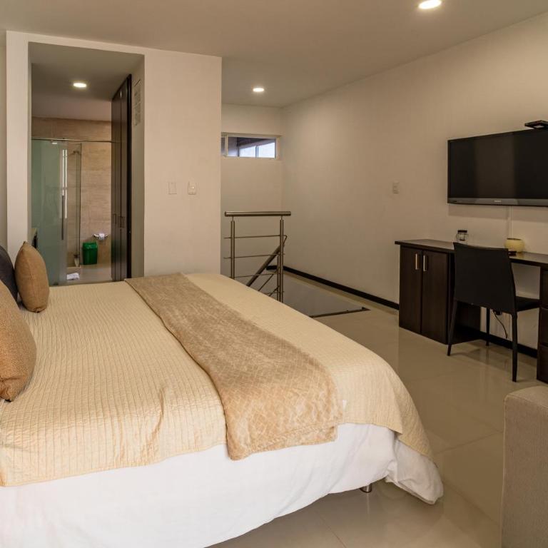 Hotel San Martin Popayan - Suite - 3