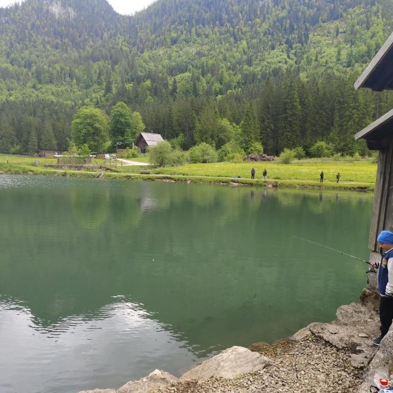 Forest Apartment Gosau - One-Bedroom Apartment - 57