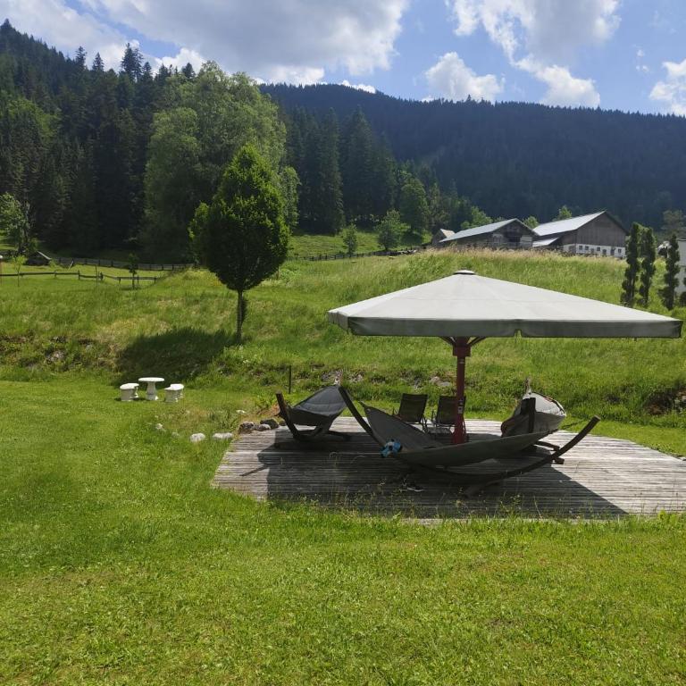 Forest Apartment Gosau - One-Bedroom Apartment - 47