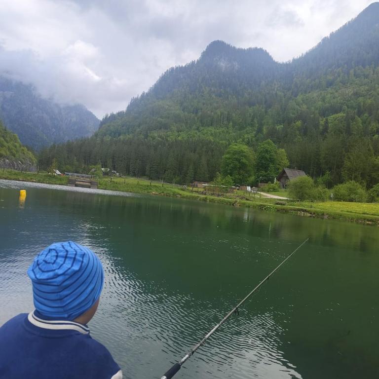Forest Apartment Gosau - One-Bedroom Apartment - 59