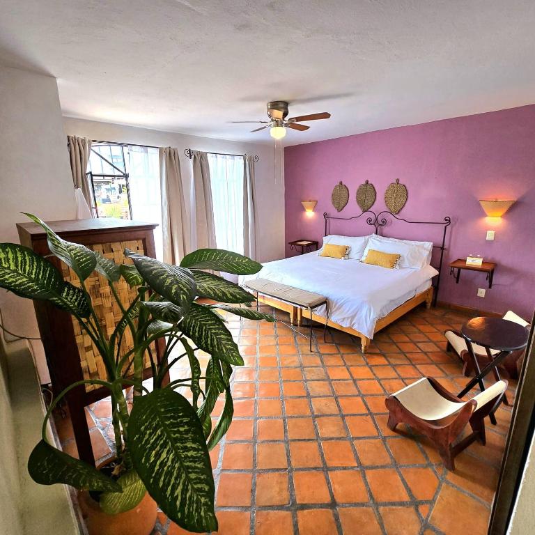 Hotel Casa Morena - Suite - 5