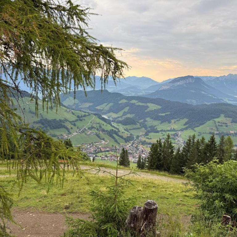 Panoramic hut in the ski area - Ferienhaus mit 3 Schlafzimmern - 15