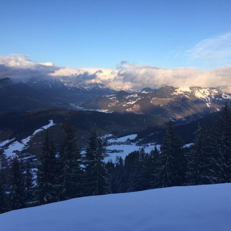 Panoramic hut in the ski area - Ferienhaus mit 3 Schlafzimmern - 18